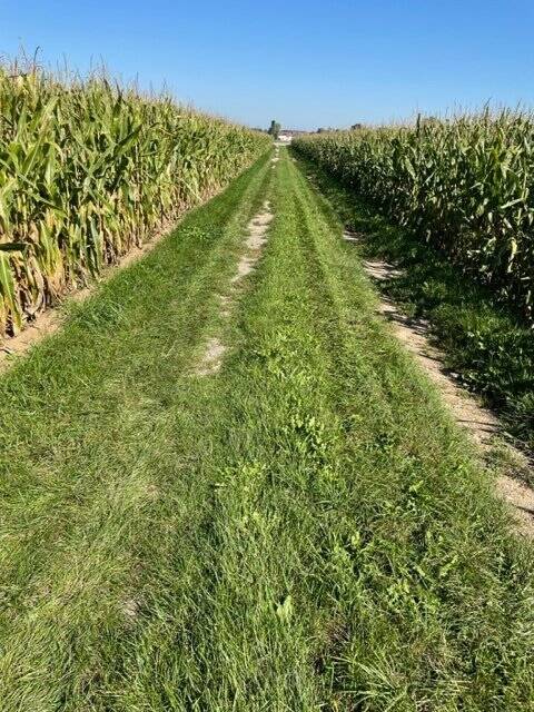 Landwirtschaftliche Fläche zum Kauf - Ansicht 5