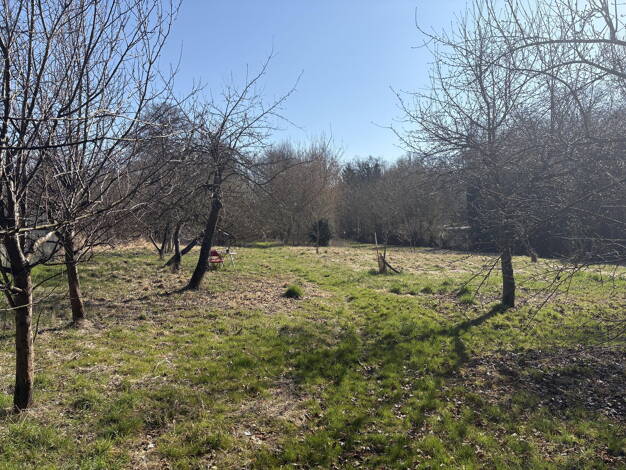 Grundstück zum Kauf provisionsfrei 98.000 € 4.340 m² Grundstück Berliner Chausee 5 Biesenthal 16359