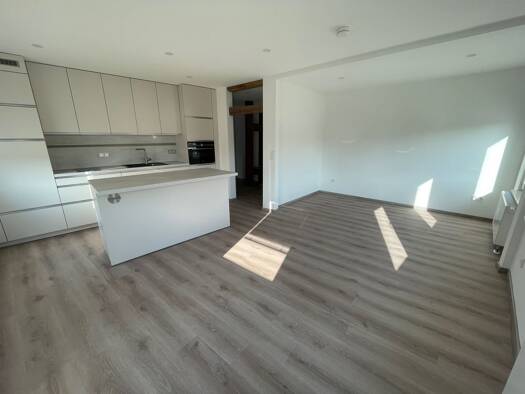 Wohnung zur Miete 1.450 € 3 Zimmer 102 m² Geschoss 1/1 frei ab sofort Erlenstegen Östliche Außenstadt 90491