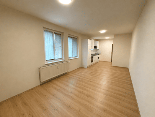 Wohnung zur Miete 540 € 2 Zimmer 39,7 m² 1. Geschoss frei ab 01.11.2026 Hainfeld 3170