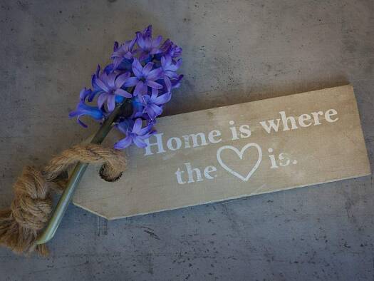 Wohnung zur Miete 1.015 € 3 Zimmer 85,4 m² 1. Geschoss frei ab sofort Hielscherstraße 17 Wilhelmsruh Berlin 13158