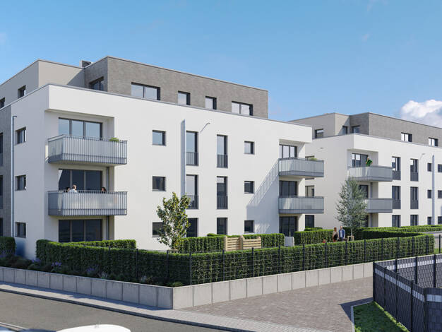 Wohnung zur Miete - Erstbezug 855 € 2 Zimmer 64,3 m² EG frei ab 01.10.2025 Majolikaweg 14 Rheinbach Rheinbach 53359