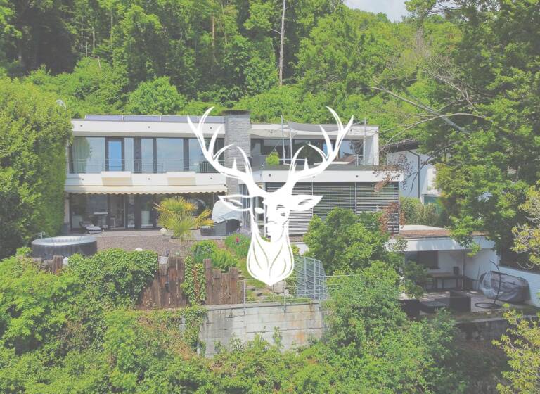 title image