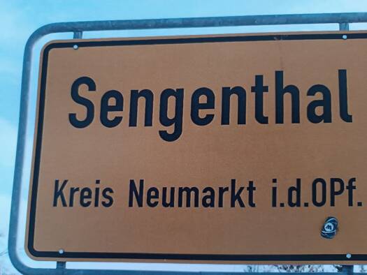 Grundstück zum Kauf provisionsfrei 295.000 € 655 m² Grundstück Sengenthal Sengenthal 92369