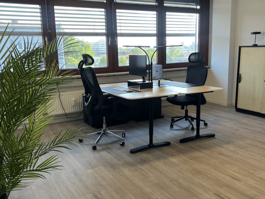 Büro zur Miete provisionsfrei 950 € 30 m² Bürofläche Hamm Hamburg 20537