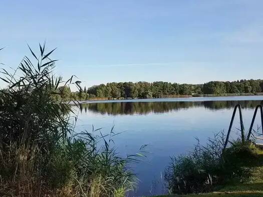 Wohnung zur Miete 1.850 € 4 Zimmer 140 m² 1. Geschoss Heiligensee Berlin 13503