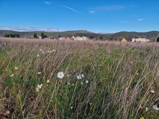 Grundstück zum Kauf provisionsfrei 103.000 € 664 m² Grundstück Saalfeld Saalfeld/Saale 07318