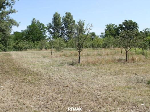 Grundstück zum Kauf 199.000 € 5.023 m² Grundstück Am Teich Sierndorf 2011