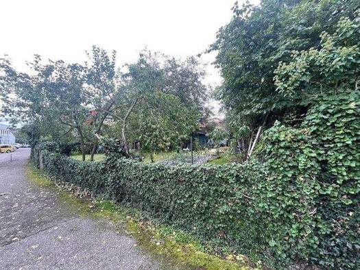 Grundstück zum Kauf 49.000 € 353 m² Grundstück Neckarelz Mosbach 74821