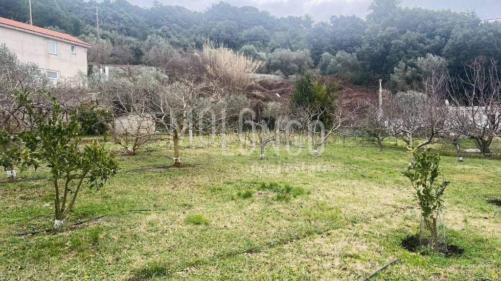 Land-/Forstwirtschaft zum Kauf 220.000 € Kampor, Rab Rab