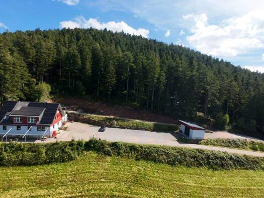 Einfamilienhaus zum Kauf 1.300.000 € 7 Zimmer 260 m² 33.480 m² Grundstück Schenkenzell 77773