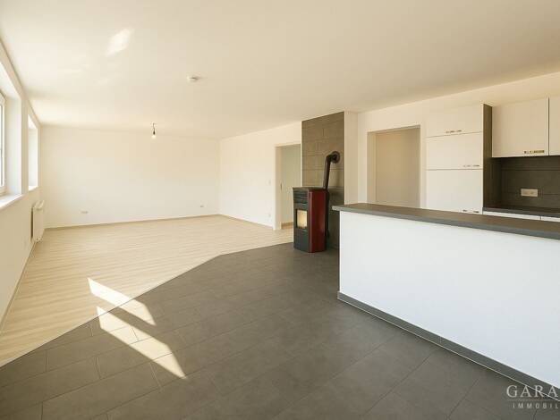 Mehrfamilienhaus zum Kauf 665.000 € 6,5 Zimmer 222 m² 595 m² Grundstück Dillingen Dillingen a.d. Donau 89407