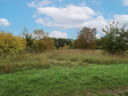 Grundstück zum Kauf 270.000 € 506 m² Grundstück Reuth Forchheim 91301