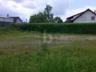 Gewerbegrundstück zum Kauf 530 € 1.607 m² Grundstück Eimeldingen 79591