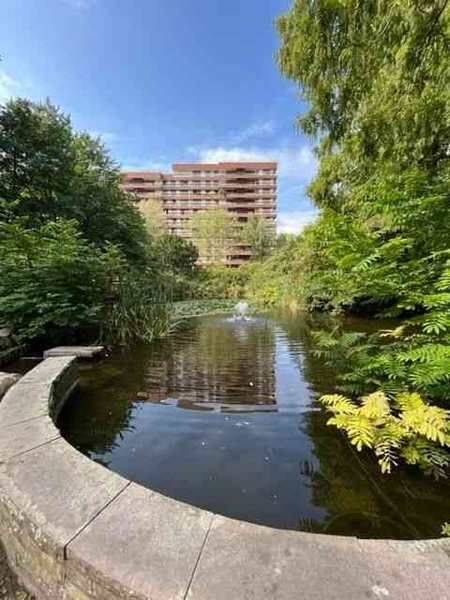 Property thumbnail 9