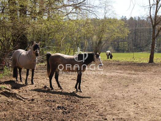 Mehrfamilienhaus zum Kauf 1.100.000 € 15 Zimmer 330 m² 6.335 m² Grundstück frei ab sofort Köstlbach Postbauer-Heng 92353