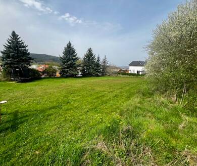 Grundstück zum Kauf provisionsfrei 37.500 € 810 m² Grundstück Eisenacher Straße 34 Schwallungen Schwallungen 98590