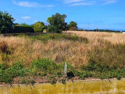 Acker-/Waldstück zum Kauf 80.000 € Polígono 9 Paraje 1745 VILLARVIEJO Castropol 33760