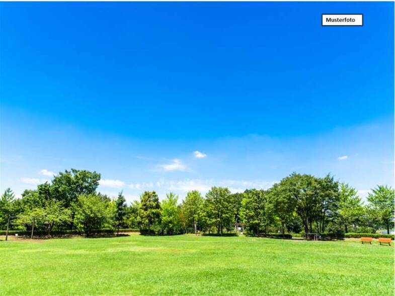 Haus zum Kauf provisionsfrei 58.000 € 191 m² 4.918 m² Grundstück Reuthen Felixsee 03130