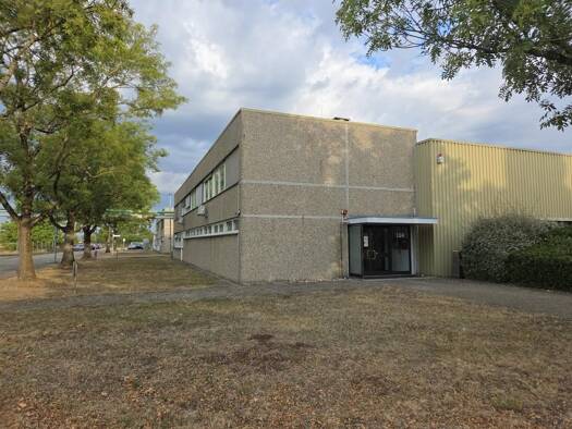 Bürofläche zur Miete provisionsfrei 252 m² Bürofläche Wolfsmatten 1 Ettenheim Ettenheim 77955