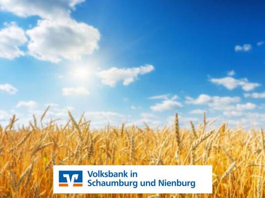 Landwirtschaftliche Fläche zum Kauf Liebenau 31618