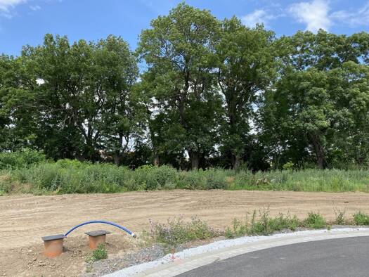Grundstück zum Kauf 76.835 € 591 m² Grundstück Aschersleben Aschersleben 06449