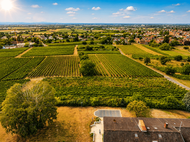 Grundstück zum Kauf 3.751 m² Grundstück Großsachsen Hirschberg 69493