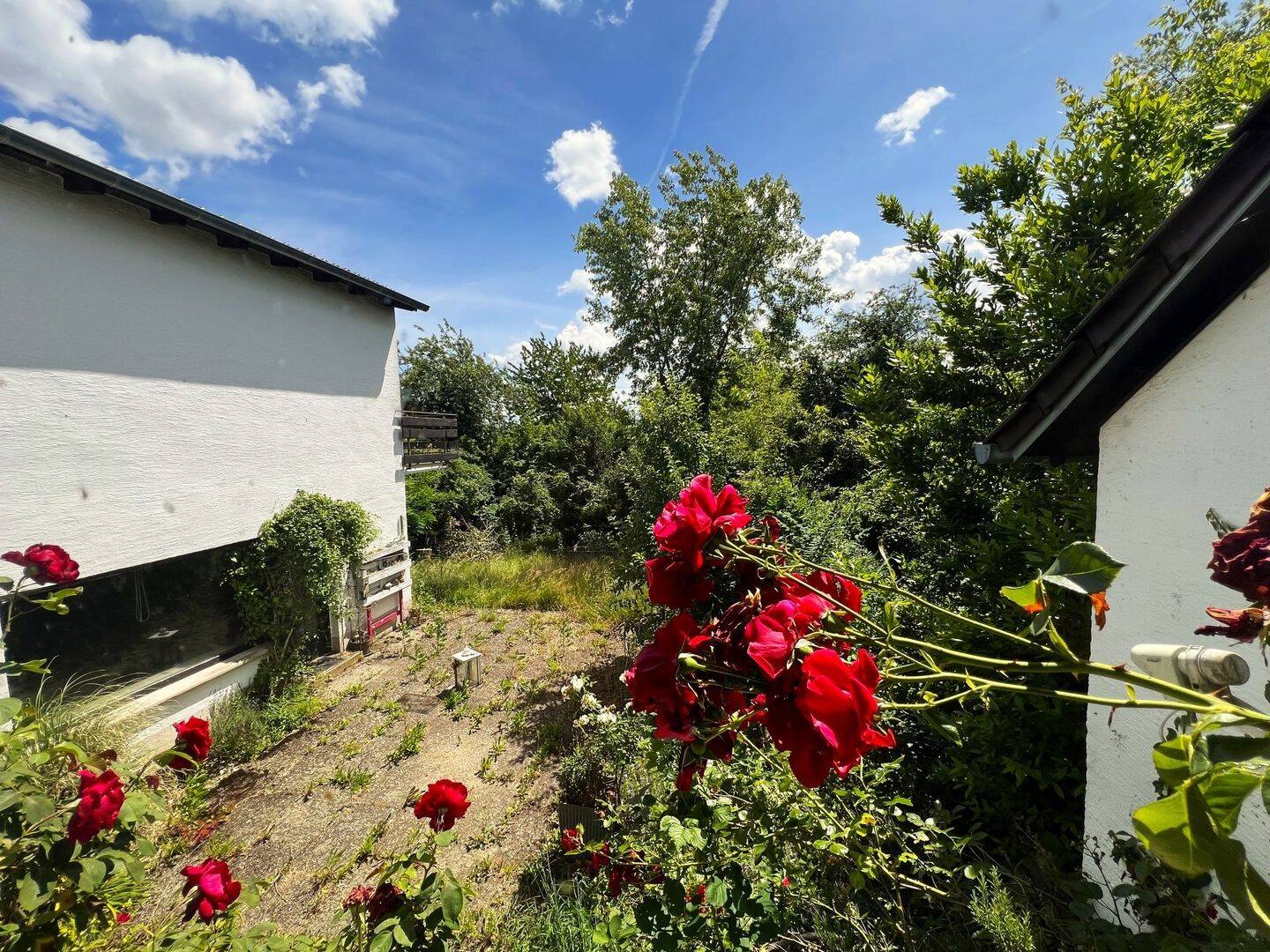 Einfamilienhaus zum Kauf - Ansicht 5