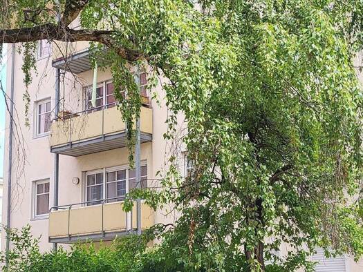 Wohnung zum Kauf 149.000 € 2 Zimmer 50 m² 1. Geschoss Cotta Ortsamtsbereich Cotta 01157