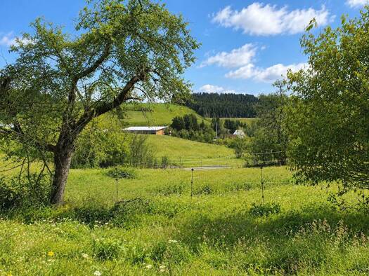 Grundstück zum Kauf provisionsfrei 249.750 € 2.443 m² Grundstück Auf den Höfen Schabenhausen Niedereschach 78078