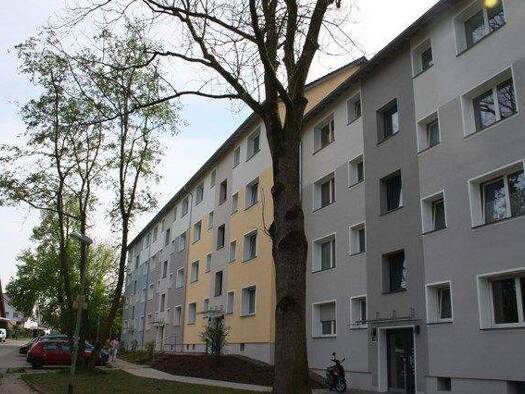 Wohnung zur Miete 475 € 2,5 Zimmer 54,5 m² EG frei ab 01.08.2026 Erlenkampsweg 17 Stoppenberg Essen 45141