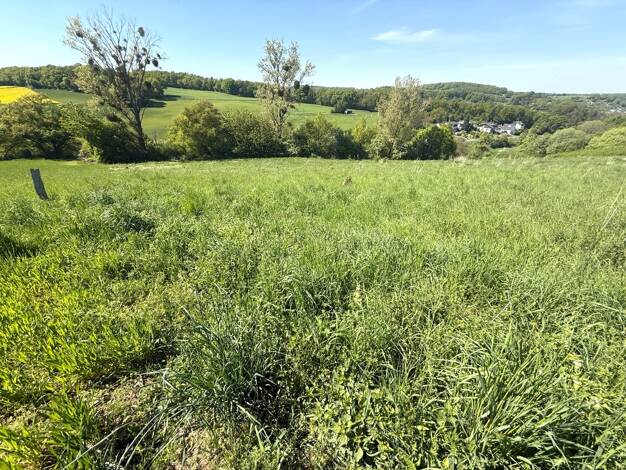 Landwirtschaftliche Fläche zum Kauf 83.000 € 15.002 m² 15.002 m² Grundstück Kreuzau 52372