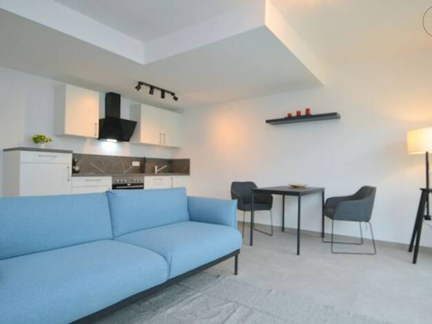 Wohnung zur Miete auf Zeit 895 € 1,5 Zimmer 38 m² frei ab 01.05.2026 Schoppershof Nürnberg 90409