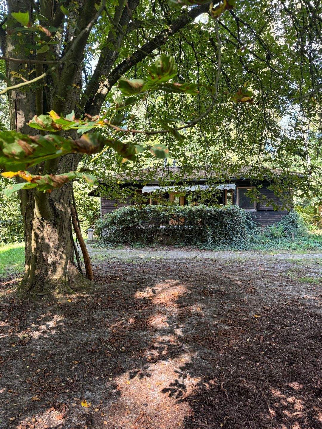 Immobilie in Stemmen - Bungalow in traumhafter Lage an kleinem Bach - Bild 0