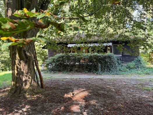 Bungalow zum Kauf 142.500 € 2 Zimmer 39,5 m² 2.843 m² Grundstück Stemmen 27389