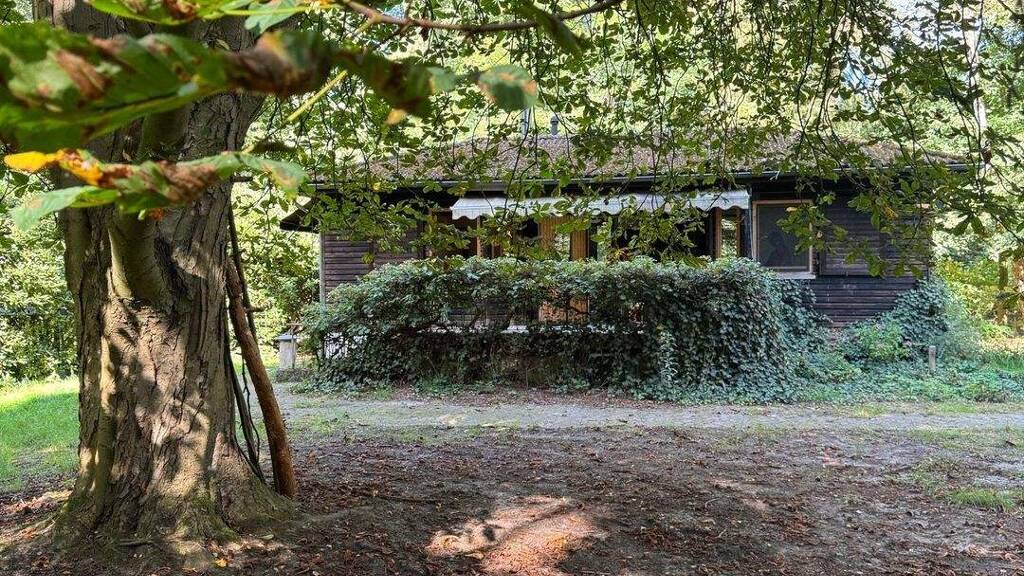 Bungalow zum Kauf 142.500 € 2 Zimmer 39,5 m² 2.843 m² Grundstück Stemmen 27389