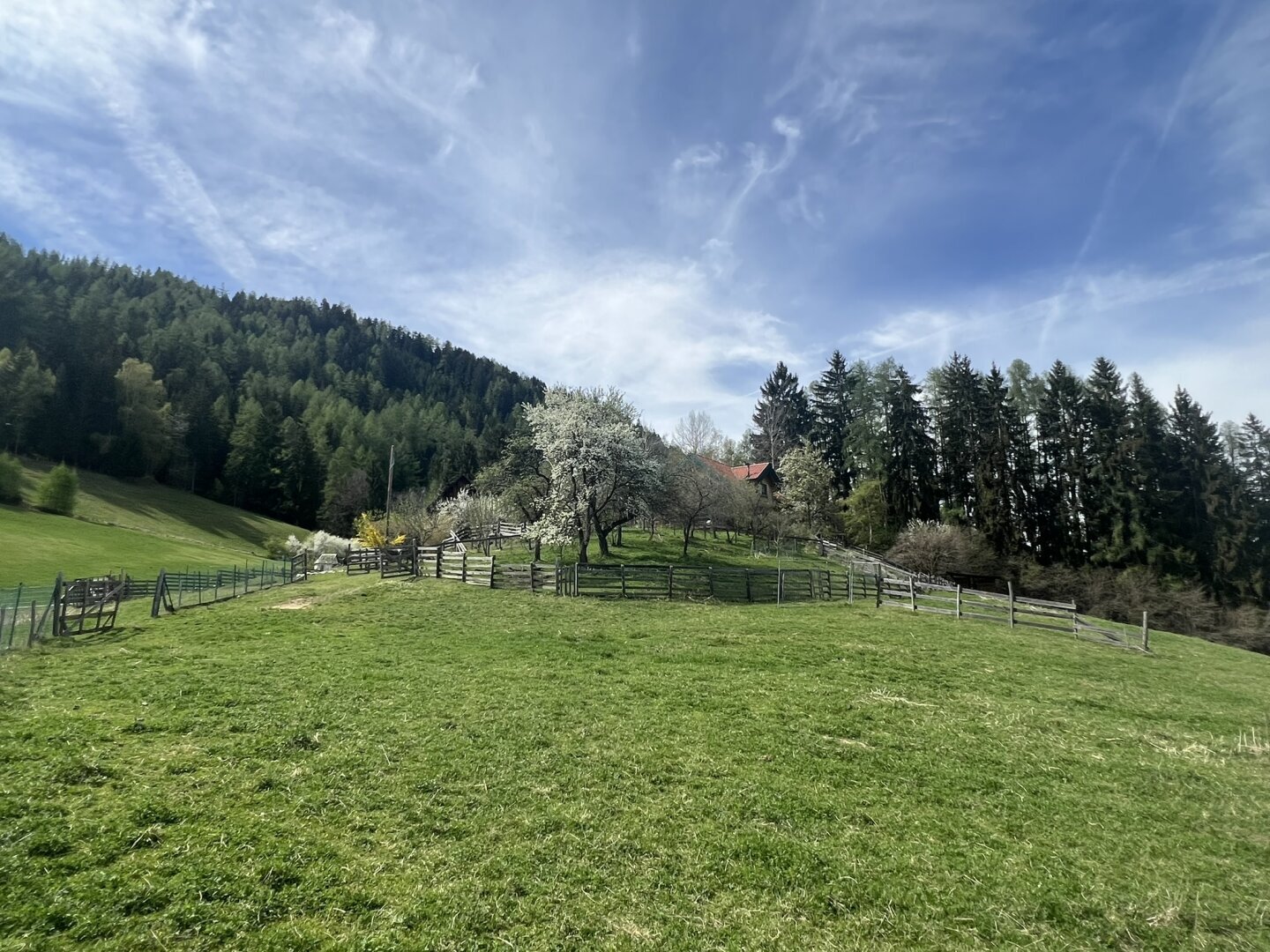 Bauernhof zum Kauf 699.000 € 27.427 m²<br/>Grundstück Judenburg 8750