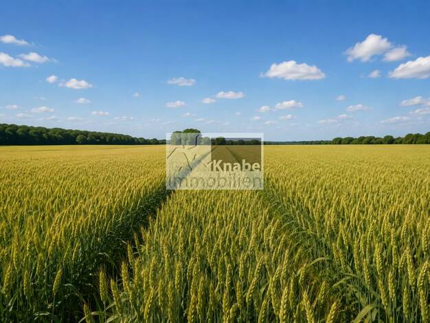 Land-/Forstwirtschaft zum Kauf 262.000 € 26.751 m² Grundstück Hustädte Melle 49328
