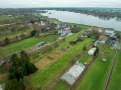 Grundstück zum Kauf 170.000 € 900 m² Grundstück frei ab sofort Hoopte Winsen (Luhe) 21423