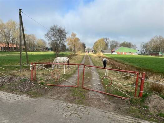 Bauernhaus zum Kauf 190.000 € 3 Zimmer 100 m² 41.663 m² Grundstück Dorfstraße 12 Odisheim 21775