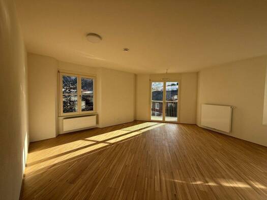 Wohnung zur Miete 1.160 € 3 Zimmer 66 m² 3. Geschoss Frühlingstraße 11 Dornbirn 6850