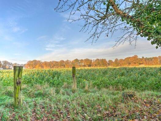 Land-/Forstwirtschaft zum Kauf 181.402 € 13.954 m² Grundstück Greven 48268