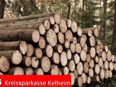 Land-/Forstwirtschaft zum Kauf 45.000 € 8.224 m² Grundstück Kelheim Kelheim 93309