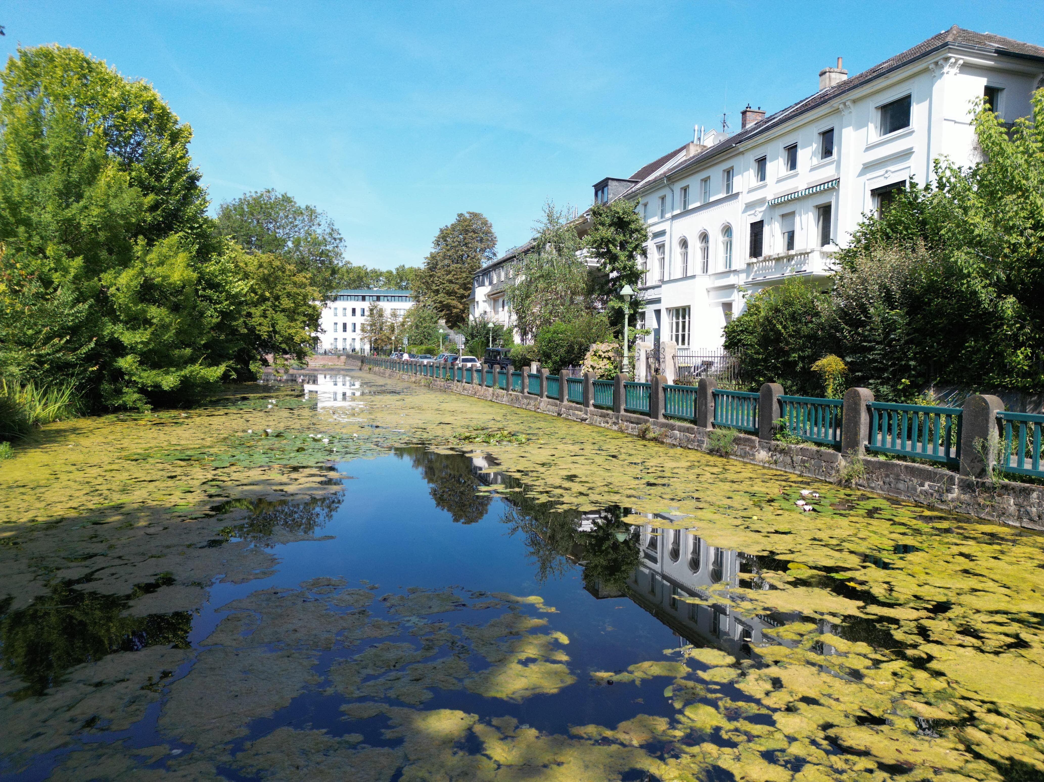 Reihenendhaus zum Kauf 1.500.000 € 9 Zimmer 250 m²<br/>Wohnfläche 288 m²<br/>Grundstück Bonner Talviertel Bonn 53115