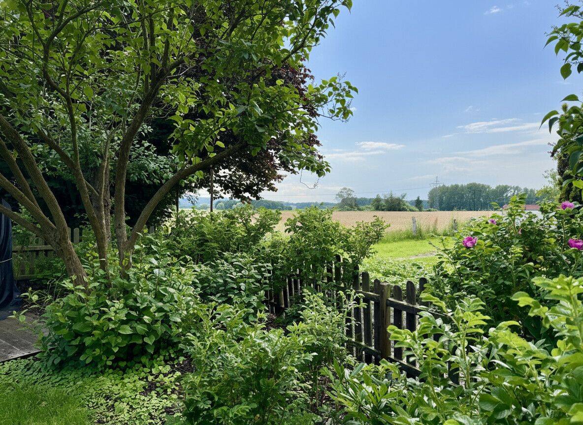 Haus – Melle / Westerhausen - Mehr