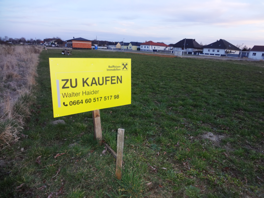 Grundstück zum Kauf 244.000 € 939 m² Grundstück Purbach am Neusiedler See 7083