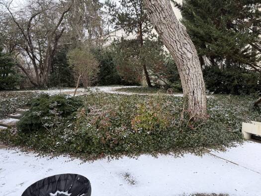 Wohnung zum Kauf 528.000 € 6 Zimmer 152 m² Steglitz Berlin / Steglitz 12167