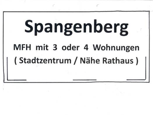 Mehrfamilienhaus zum Kauf 89.000 € 1 Zimmer 450 m² 279 m² Grundstück frei ab sofort Spangenberg Spangenberg 34286