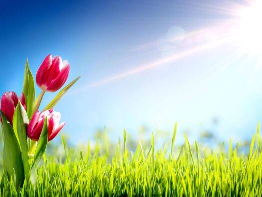 Grundstück zum Kauf 380.000 € 858 m² Grundstück Bitzenhofen Oberteuringen 88094