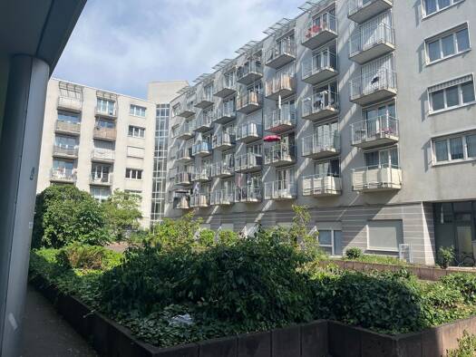Wohnung zur Miete 1.600 € 3 Zimmer 85 m² Geschoss 2/5 frei ab sofort Bergheim Heidelberg 69115